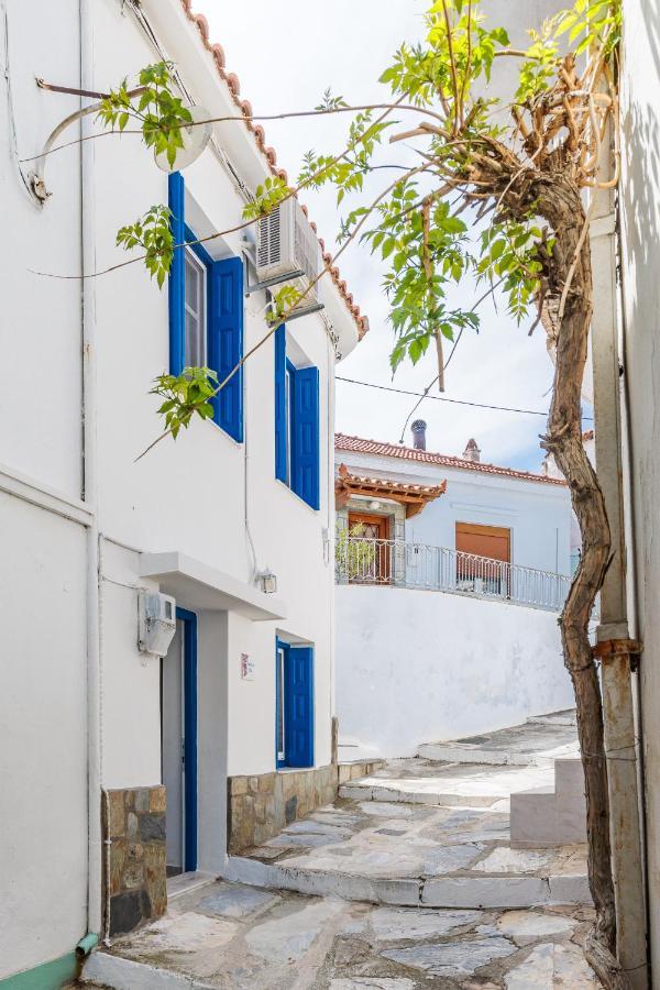 Chiarina'S Spiti Βίλα Σκόπελος Εξωτερικό φωτογραφία